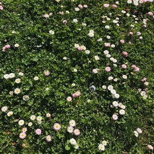 Meet your Posher, Eden